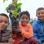 Universal Networks supports planting of 200 trees in Guatemala and Madagascar