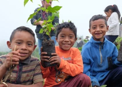 Universal Networks supports planting of 200 trees in Guatemala and Madagascar