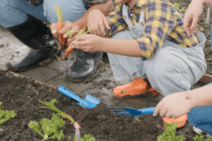 people growing vegetables